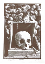 Momento Mori- Tan" By: Estevan Oriol