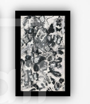 Paloma’s by Raphael  Silerio