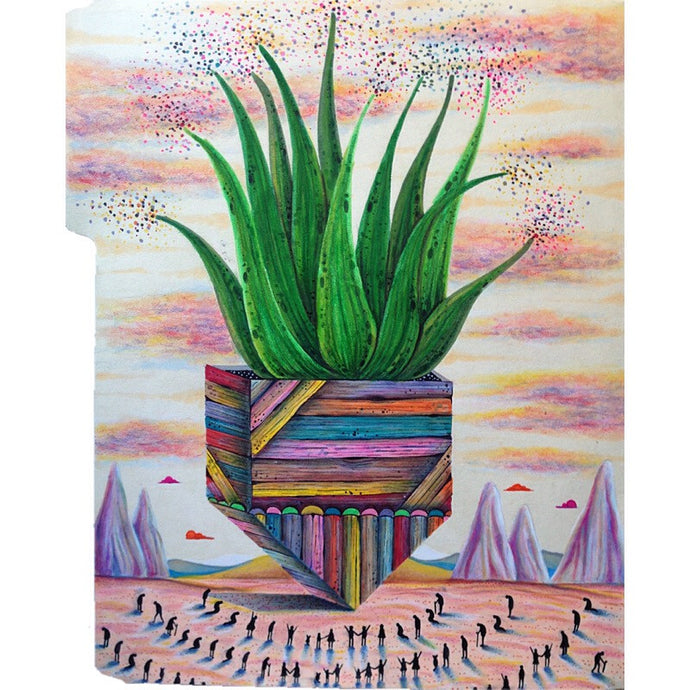 Aloe Vera Majica, Johnny Quintanilla