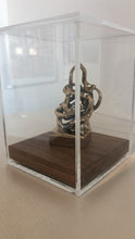Bronze Women