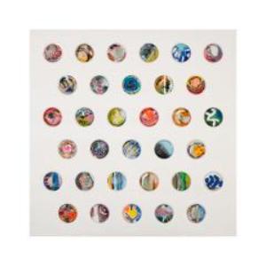 Sun Spots 25.5-6